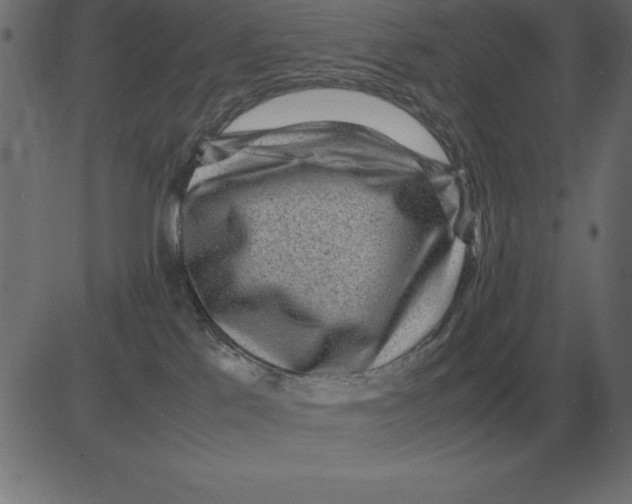 X0000081350041200702020125