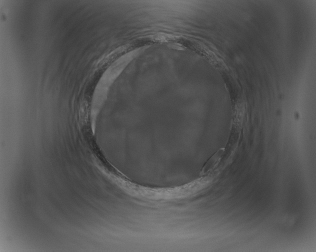 X0000081350043200702020125