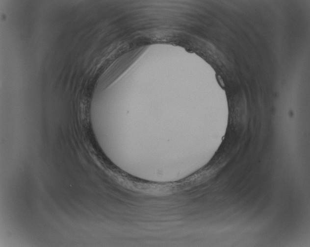 X0000081350044200702020125