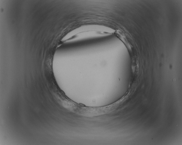 X0000081350045200702020125