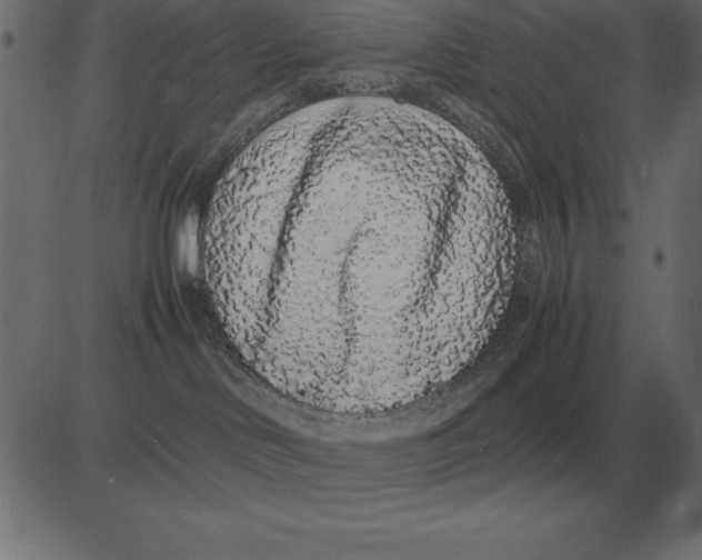 X0000081350046200702020125