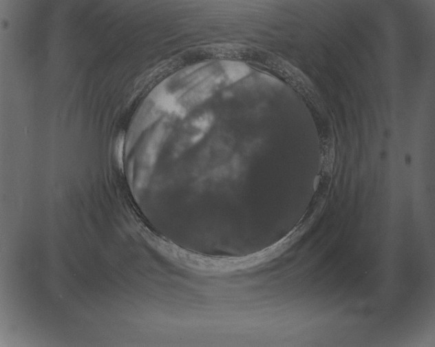 X0000081350047200702020125