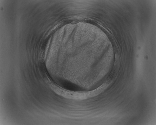 X0000081350048200702020125