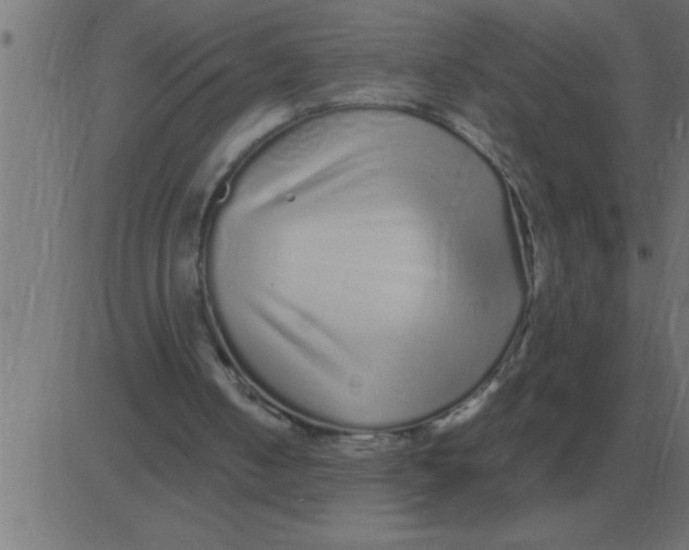 X0000081350050200702020124