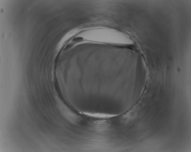 X0000081350054200702020125