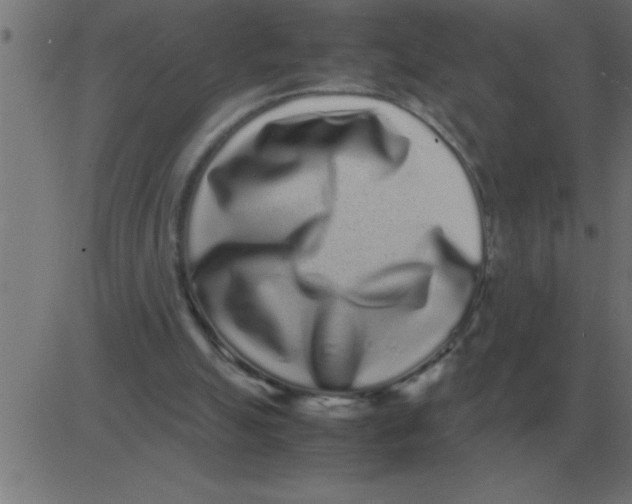 X0000081350055200702020125