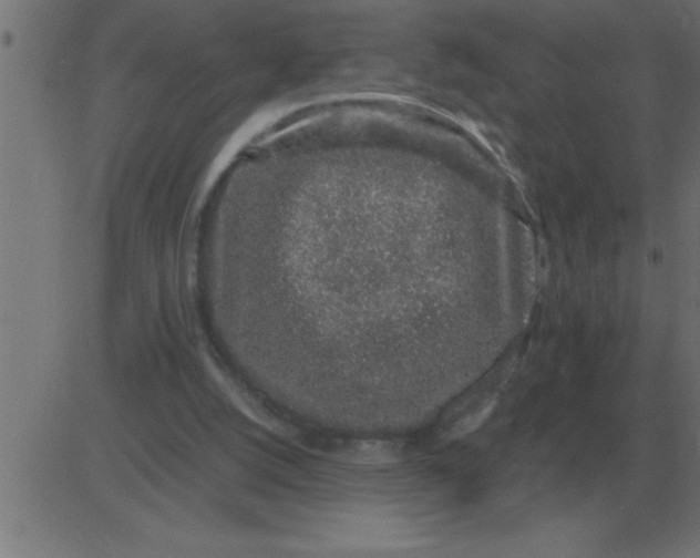 X0000081350056200702020125