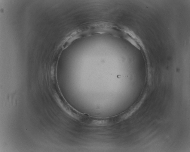 X0000081350057200702020125