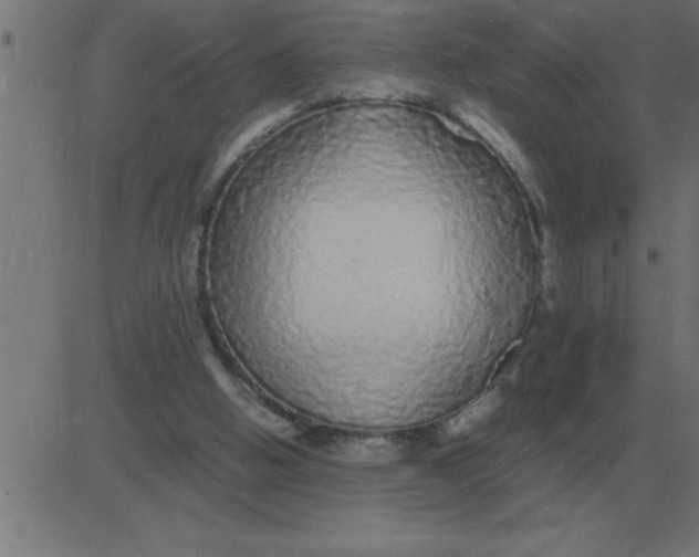 X0000081350058200702020125