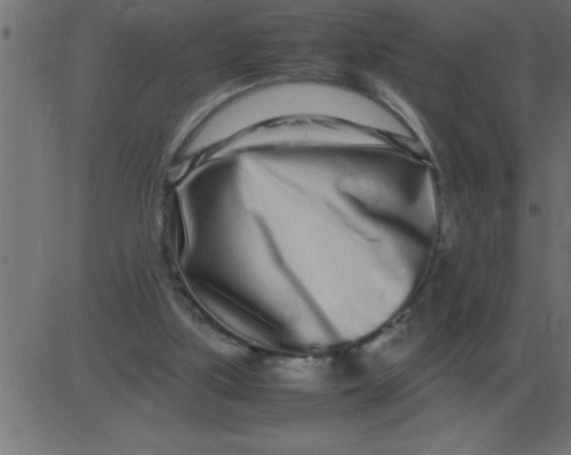 X0000081350059200702020125