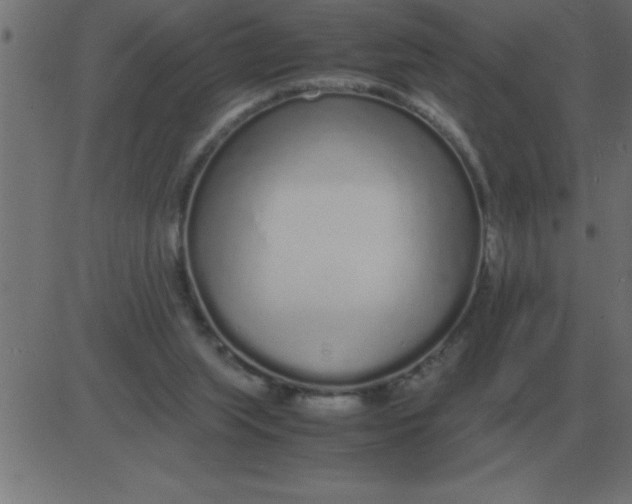 X0000081350063200702020125