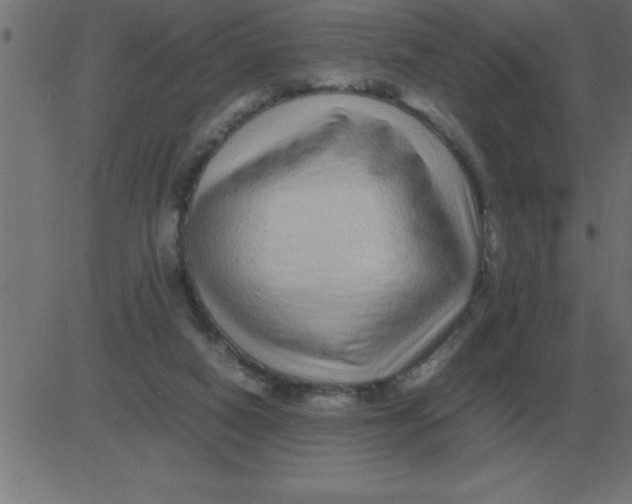 X0000081350066200702020125