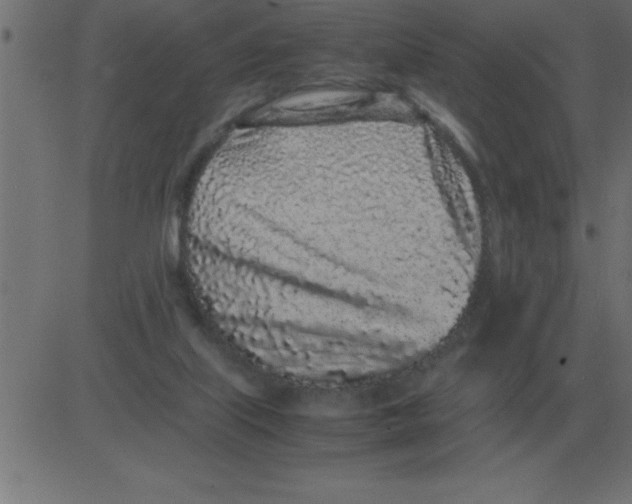 X0000081350067200702020125