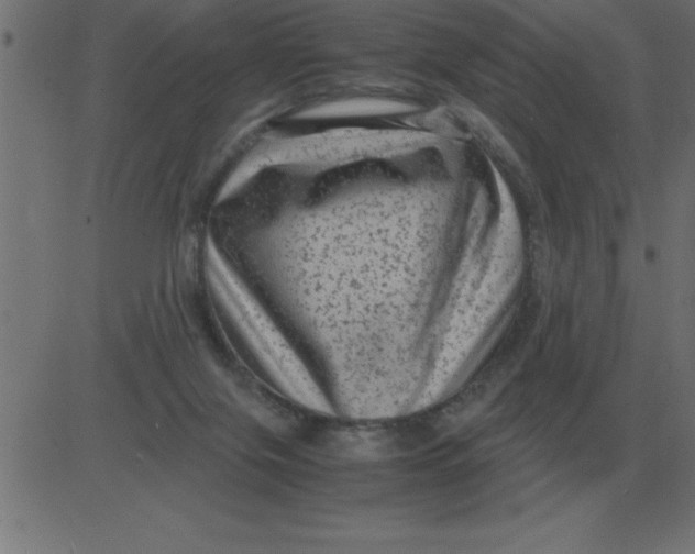 X0000081350071200702020125