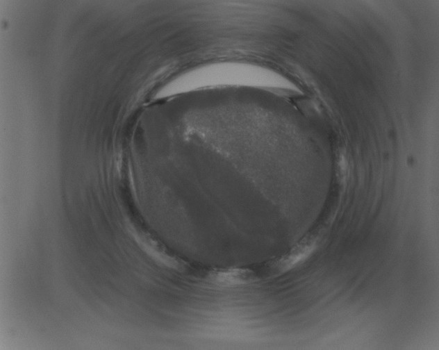 X0000081350072200702020125