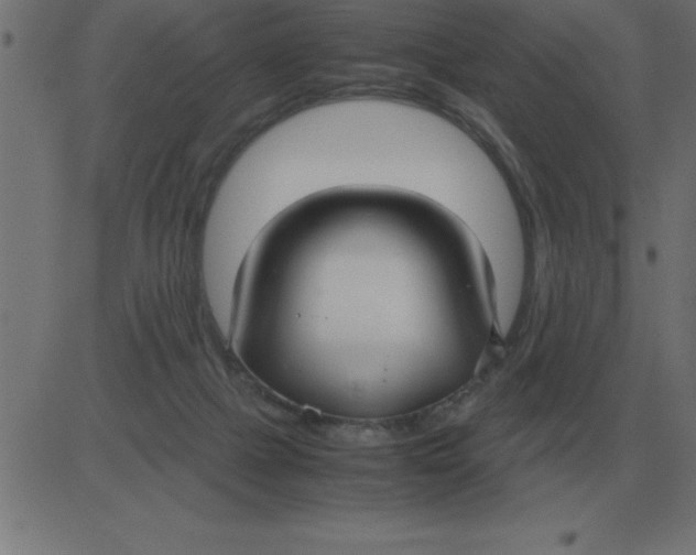 X0000081350073200702020125