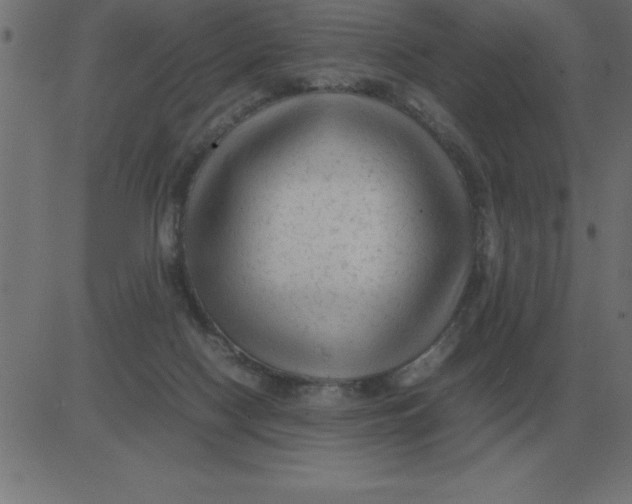 X0000081350074200702020125