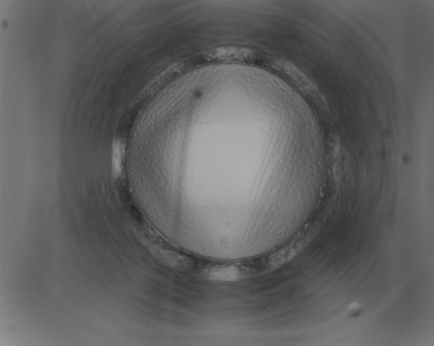 X0000081350075200702020125