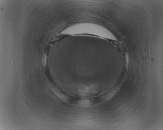 X0000081350076200702020125