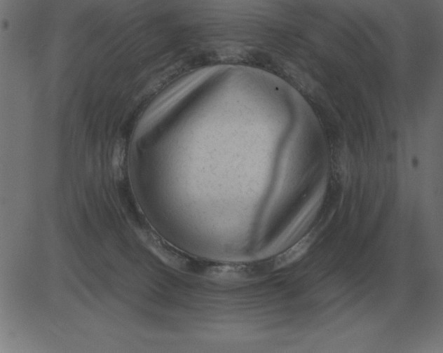 X0000081350082200702020125