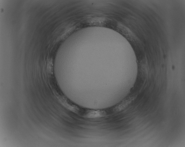 X0000081350083200702020125