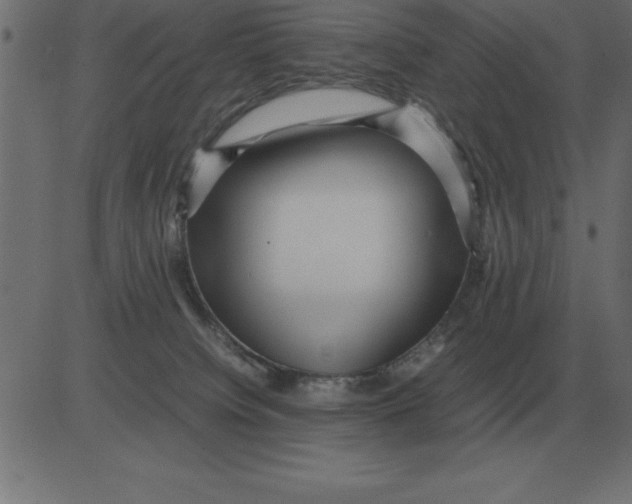 X0000081350084200702020125