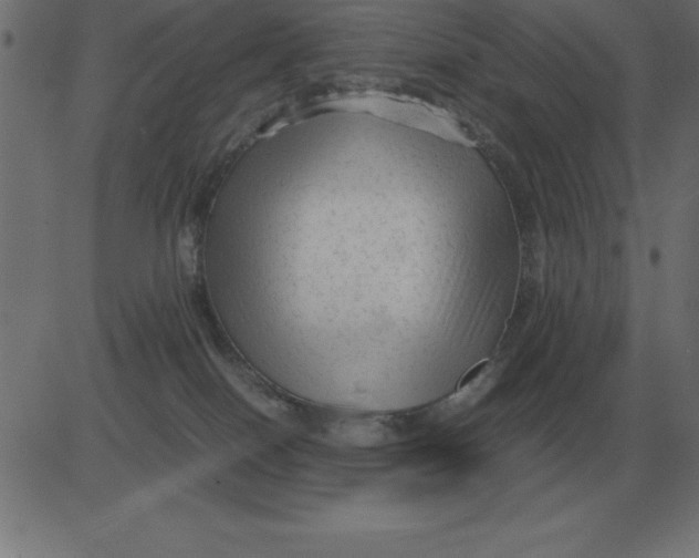 X0000081350086200702020125