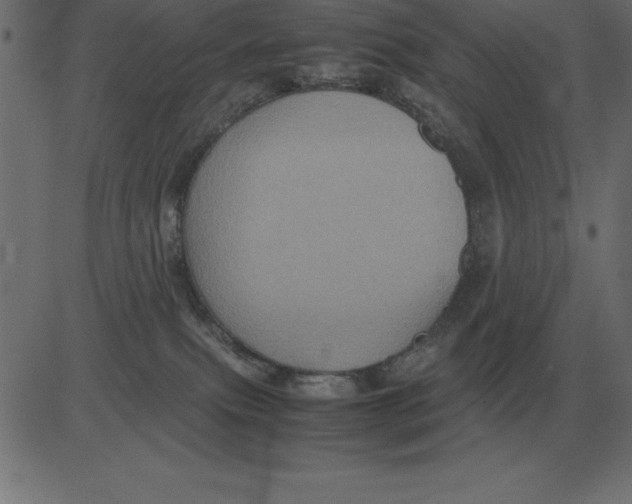 X0000081350087200702020125