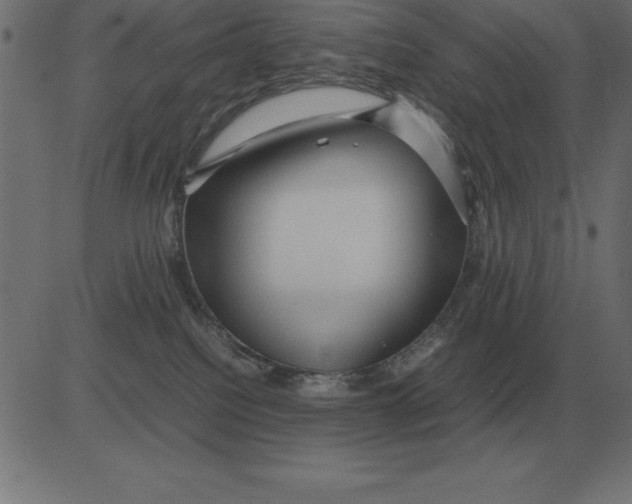 X0000081350088200702020125