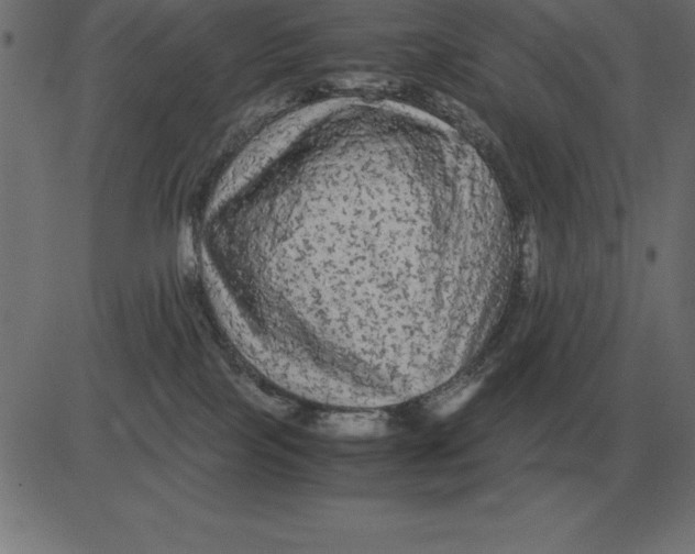 X0000081350089200702020125