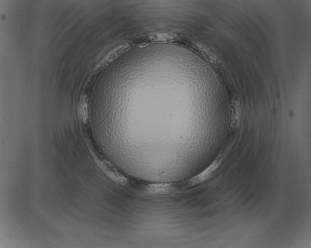 X0000081350090200702020125