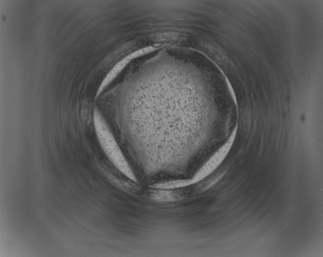 X0000081350091200702020125