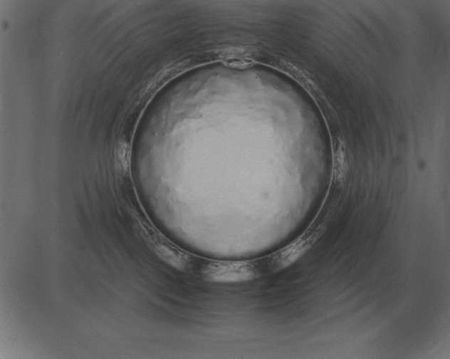 X0000081350093200702020125