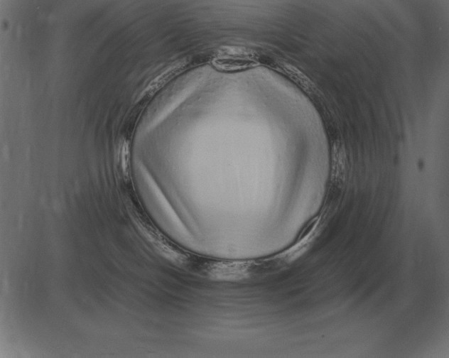 X0000081350094200702020125