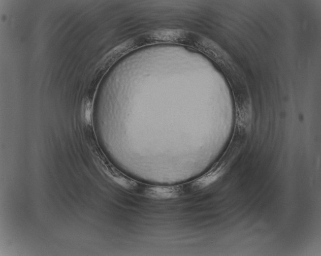 X0000081350095200702020125