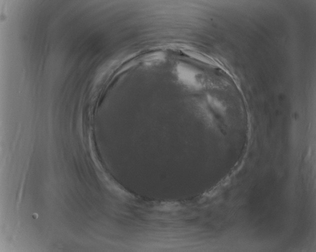 X0000081350097200702020124