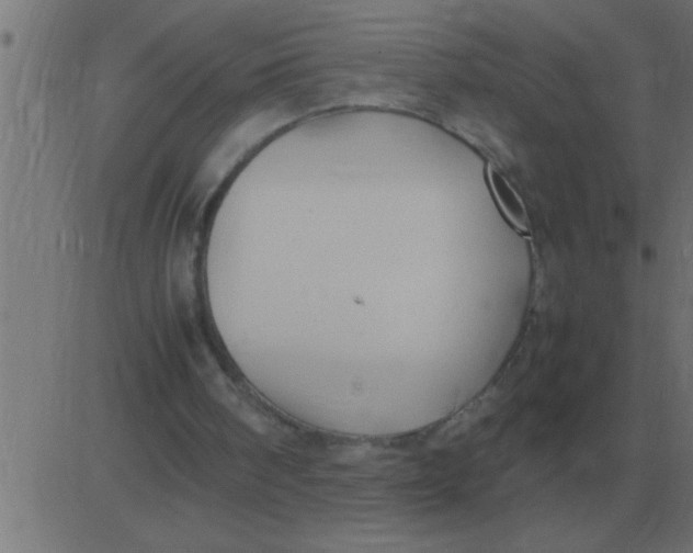 X0000081350098200702020124