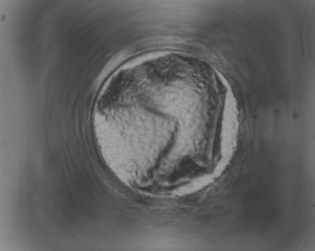 X0000081350099200702020124