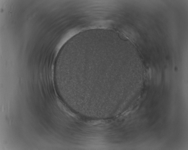 X0000081350100200702020124