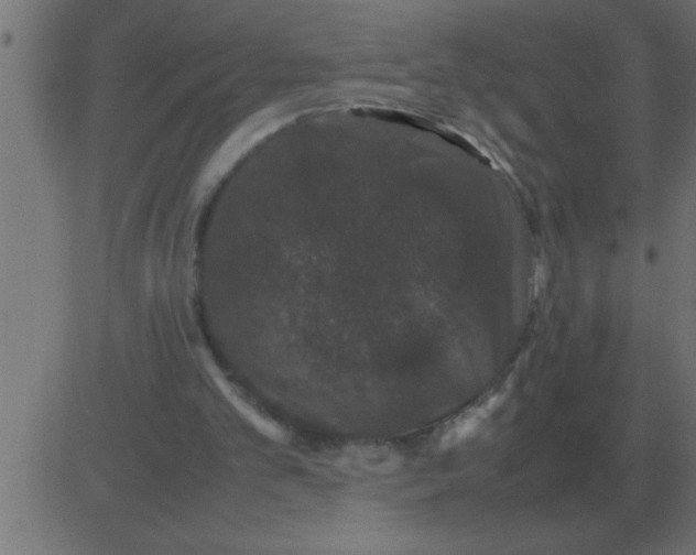 X0000081350101200702020124