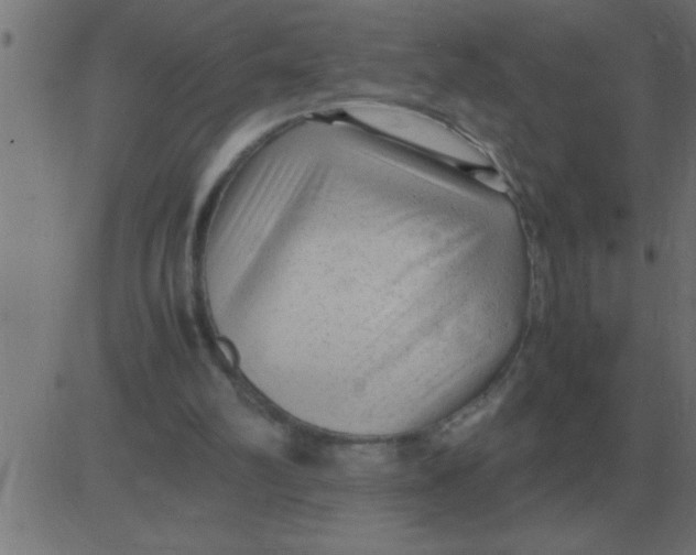 X0000081350102200702020124