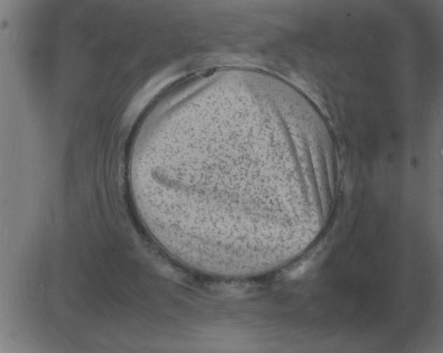 X0000081350103200702020124