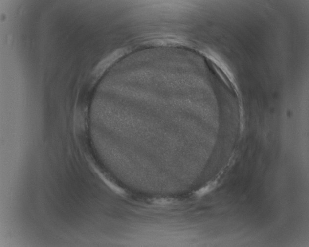 X0000081350105200702020124