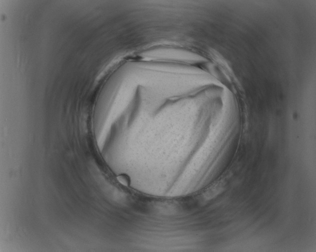 X0000081350106200702020124