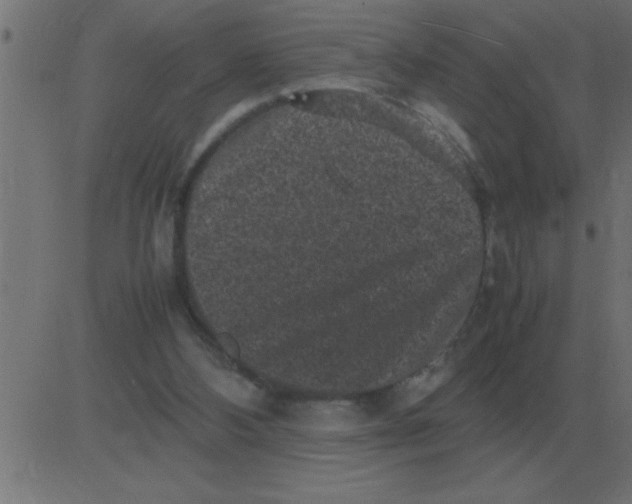 X0000081350108200702020124