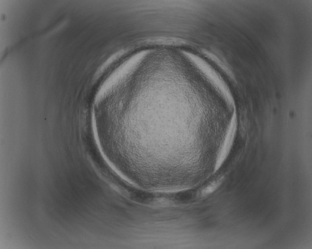 X0000081350111200702020124