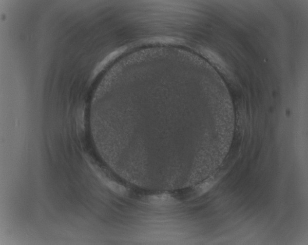 X0000081350112200702020124