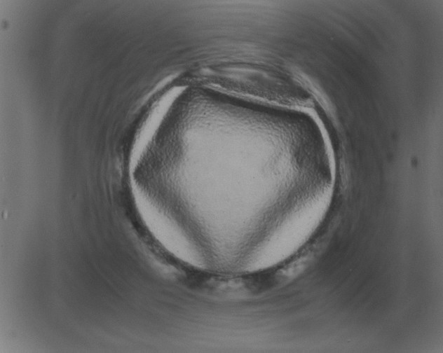 X0000081350113200702020124