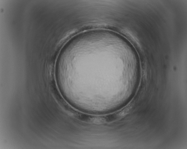 X0000081350115200702020124