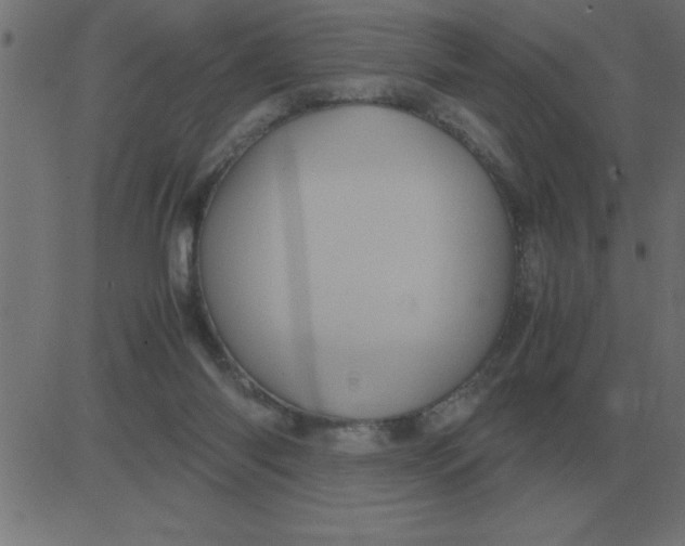 X0000081350118200702020124